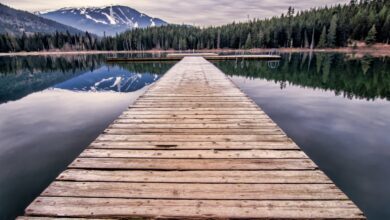 lake wooden dock