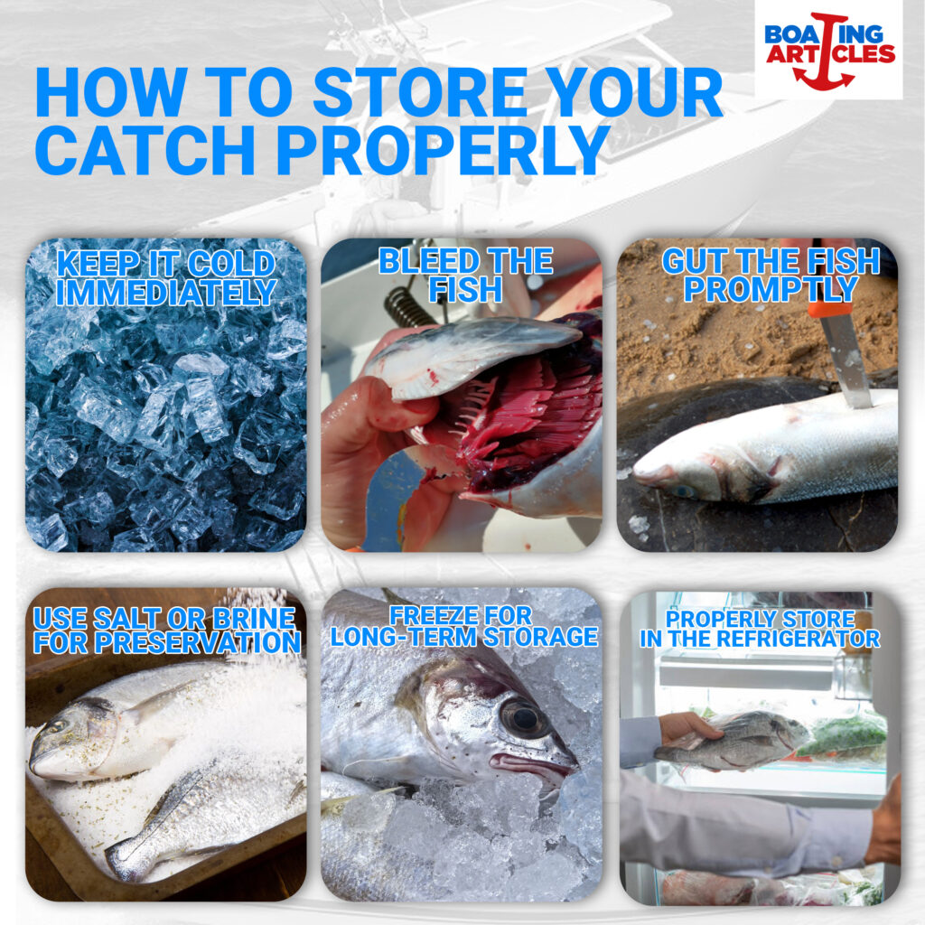 how to store a fish after catching it