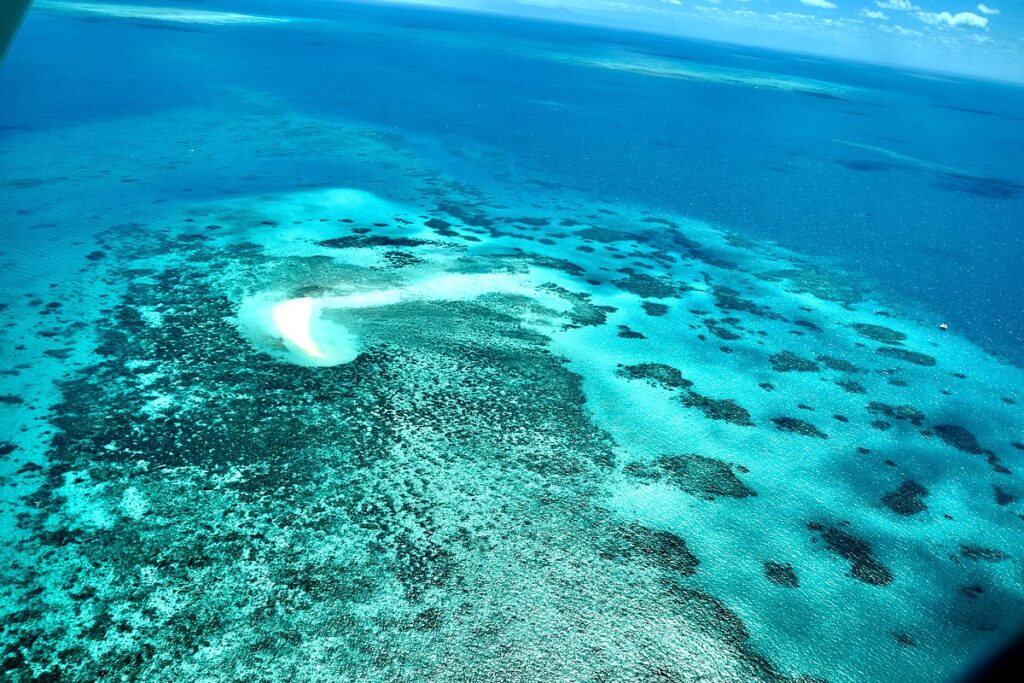 great barrier reef in australia