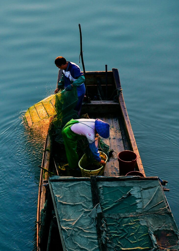 men on a boat catching fish