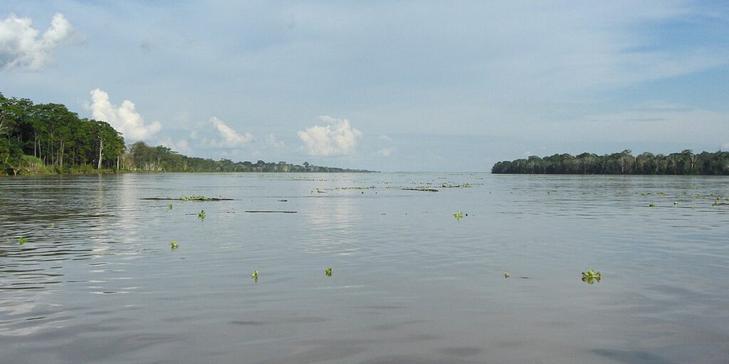 amazon river in brazil